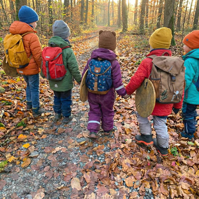 Rückweg durch den Wald